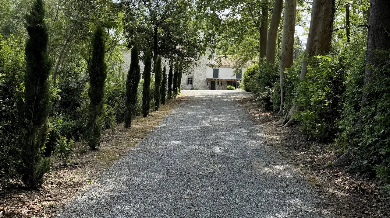 De grindoprit tussen cipressen en hoge platanen, met het huis aan het eind.